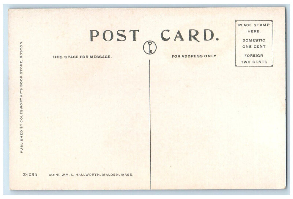 c1910 Mt Chocorua & Peak House White Mountains New Hampshire NH Antique Postcard