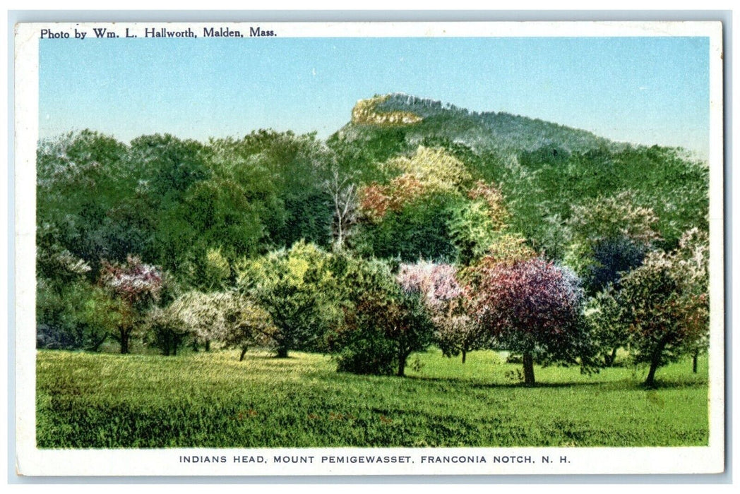 c1910 Indian Head Mount Pemigewasset Franconia Notch New Hampshire NH Postcard
