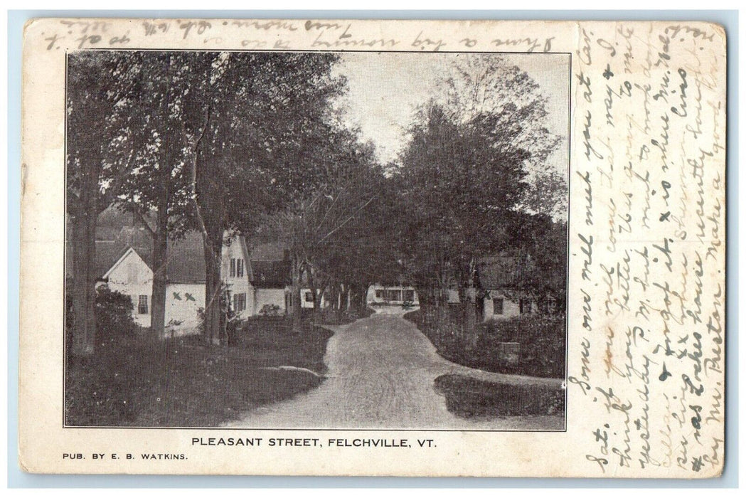 1906 Scenic View Pleasant Street Trees Road Felchville Vermont Vintage Postcard