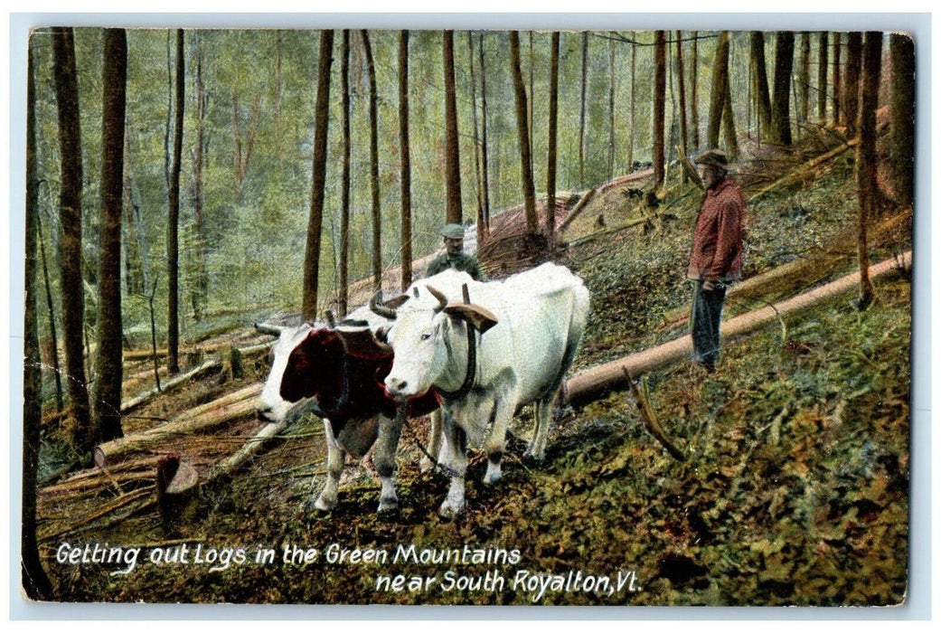 1908 Getting Out Logs Green Mountains South Royalton Vermont VT Antique Postcard