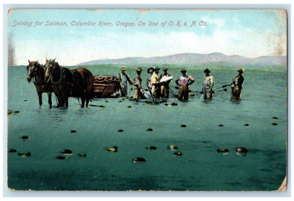1914 Seining Salmon Columbia River Horse Carriage Oregon Antique Posted Postcard