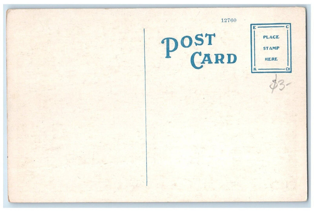 c1920 Hospital Good Shepherd Exterior Building Street Syracuse New York Postcard