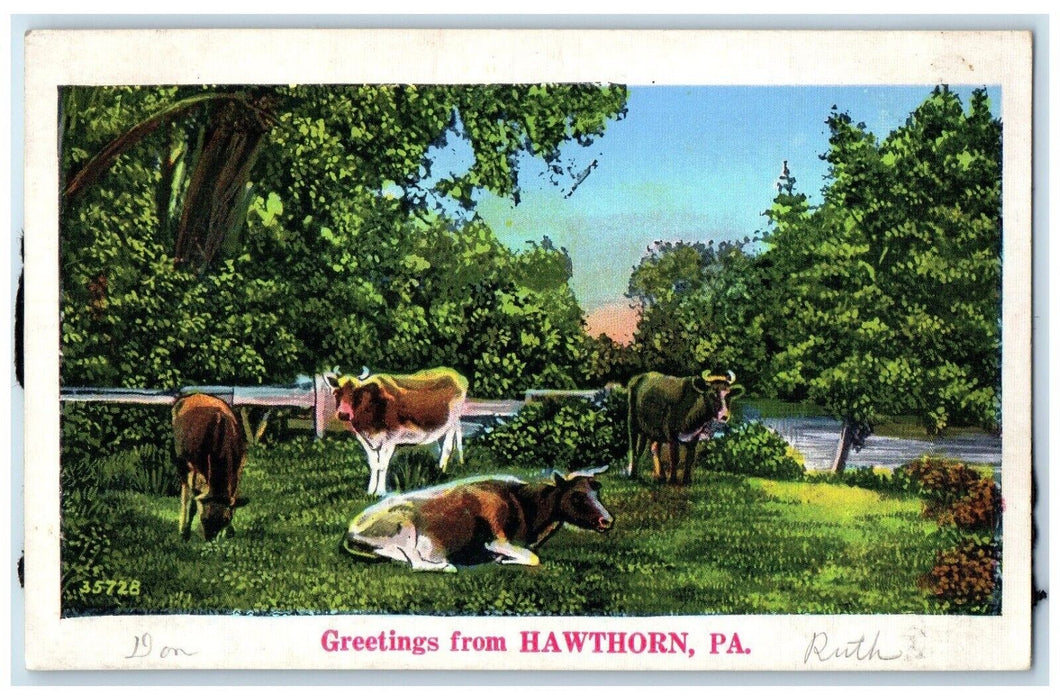 1933 Greetings From Hawthorn Pennsylvania PA Animals Forest River Trees Postcard