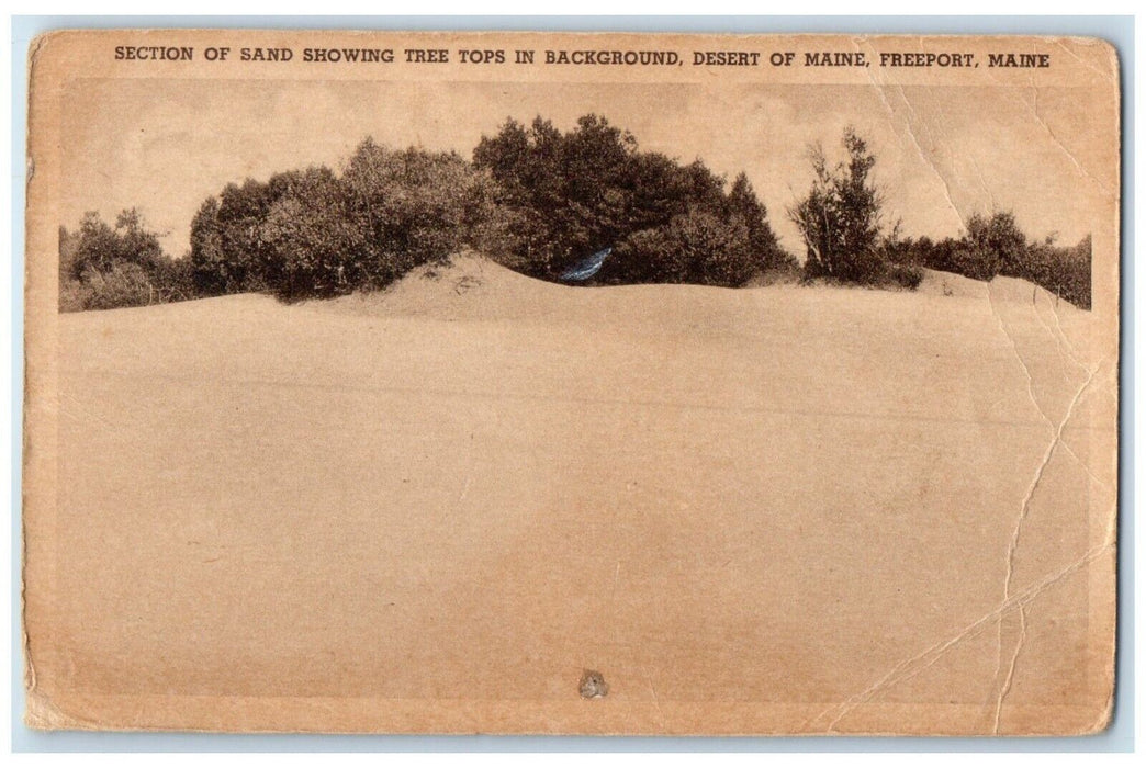 c1940 Section Sand Showing Tree Tops Background Desert Maine Freeport Postcard