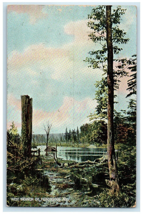 1908 View Of West Branch Of Penobscot Dover Maine ME Posted Antique Postcard