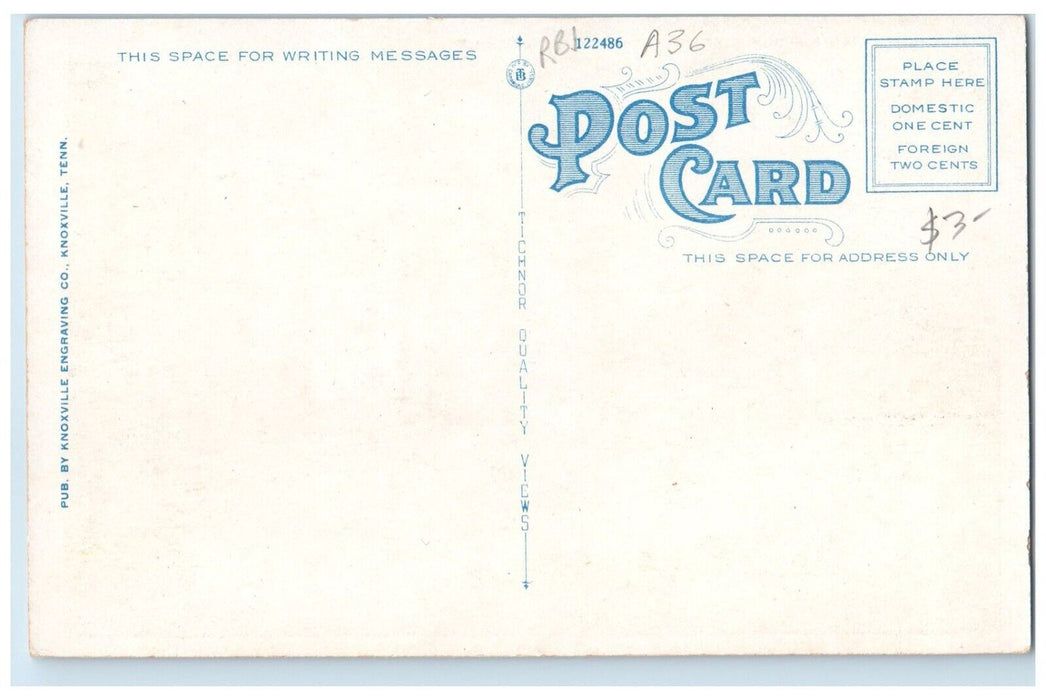 c1920 Mayne Williams Public Library Exterior Johnson City Tennessee TN Postcard