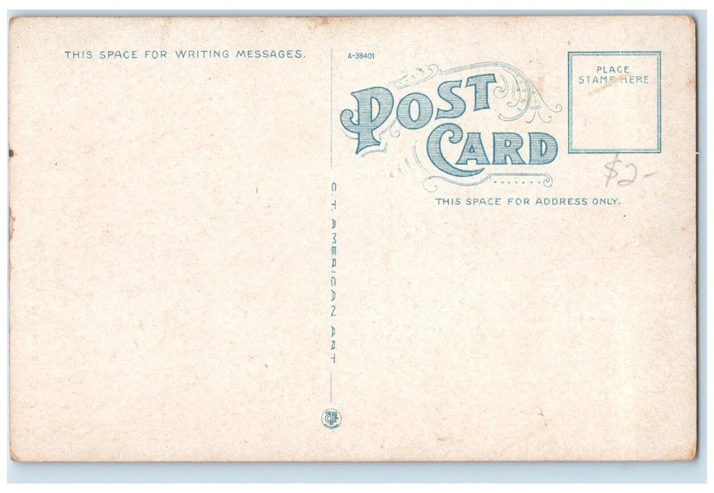 c1920 Old State House Exterior Building Street Little Rock Arkansas AR Postcard