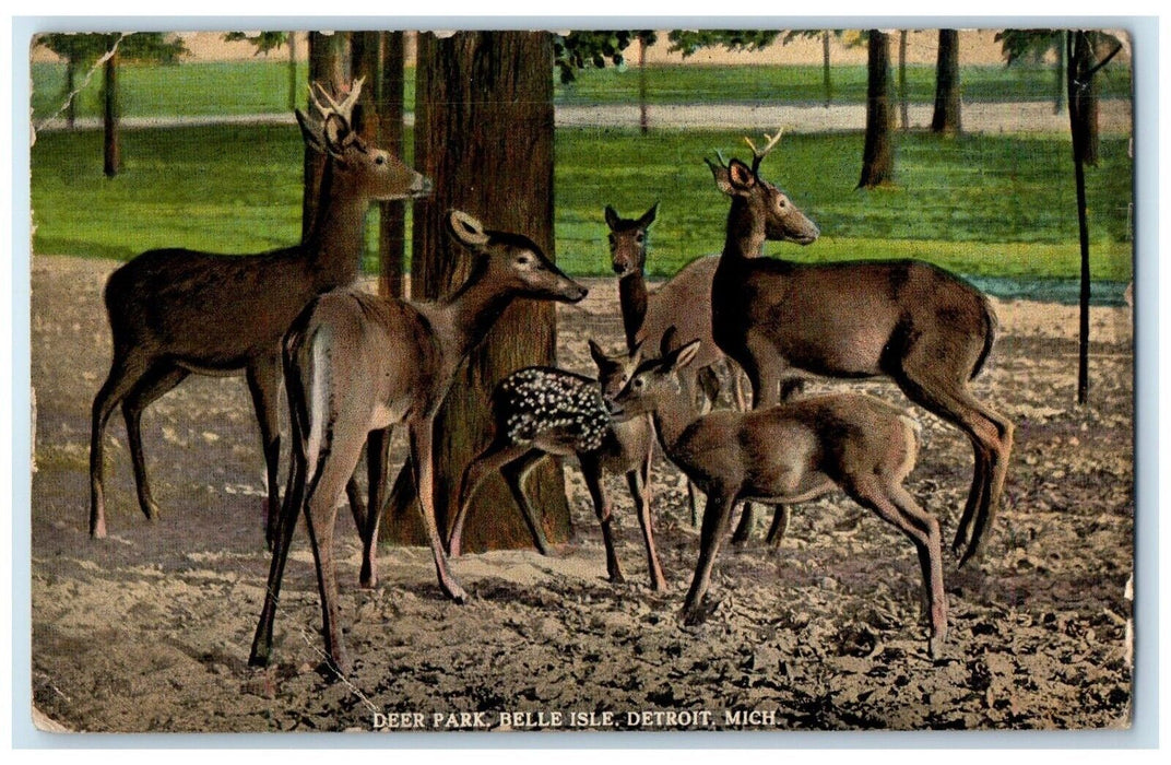 1921 Deer Park Belle Isle Detroit Michigan MI, Animals Posted Vintage Postcard