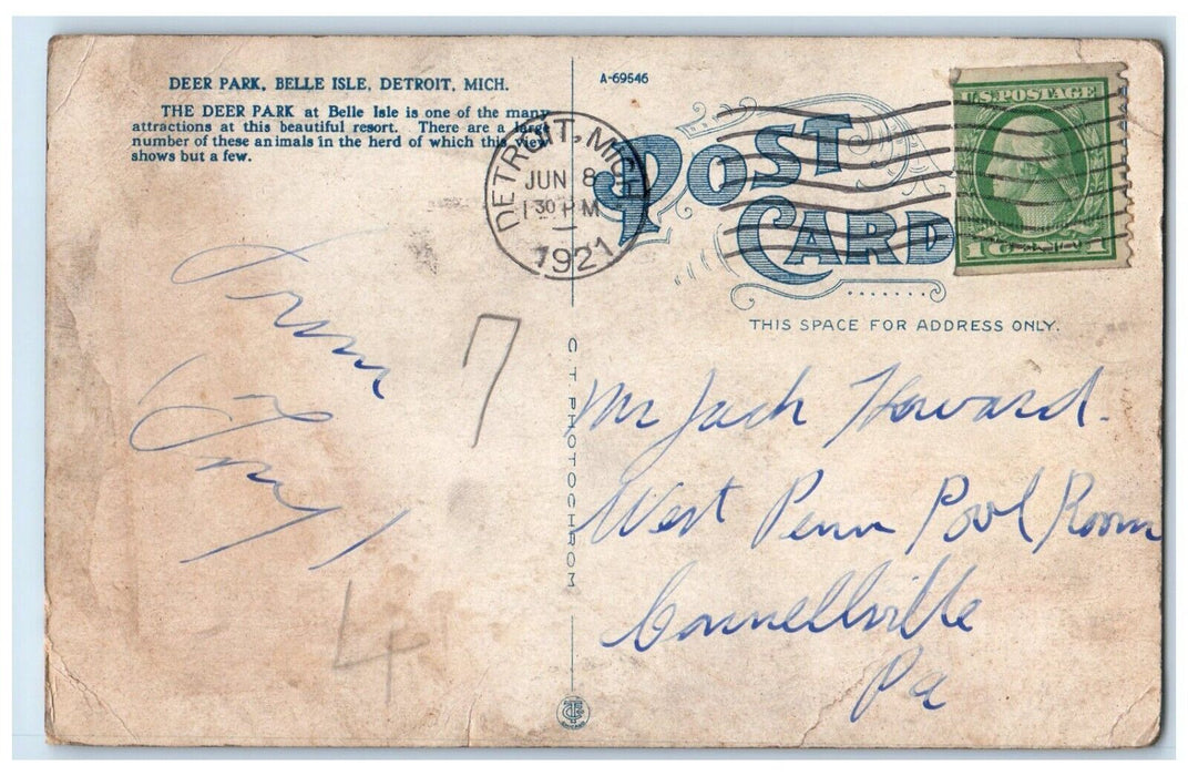 1921 Deer Park Belle Isle Detroit Michigan MI, Animals Posted Vintage Postcard