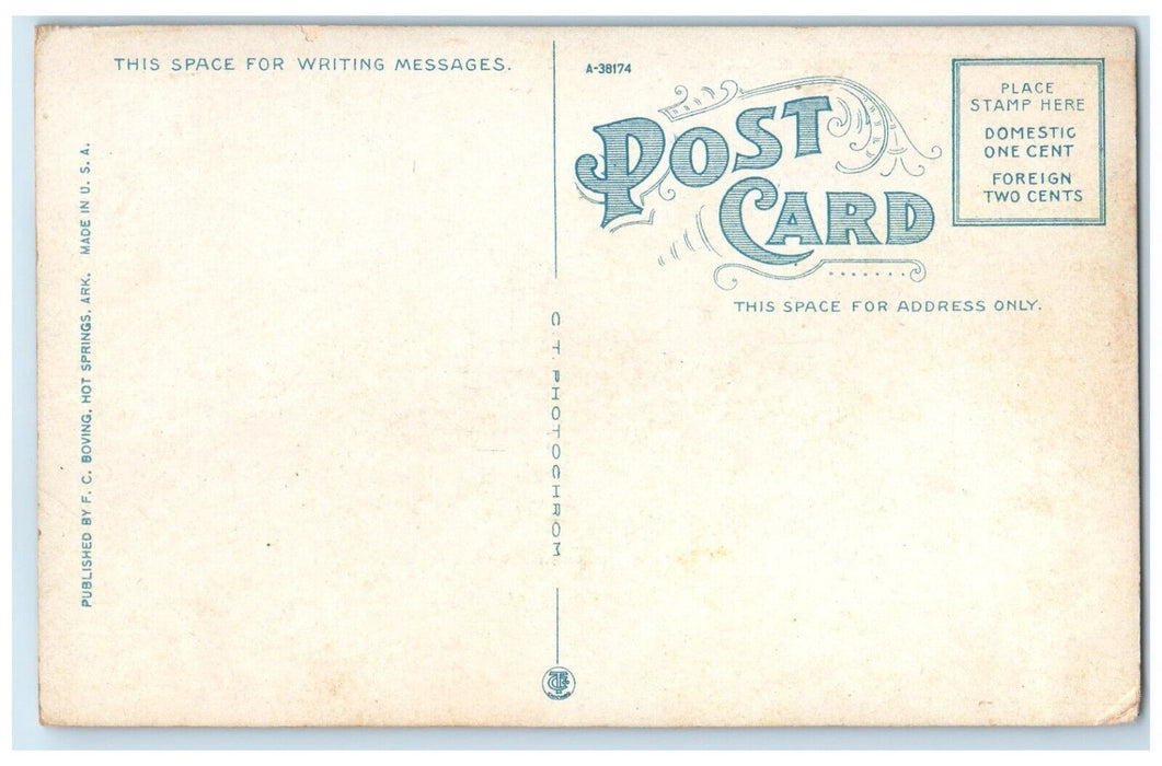 c1910's Drive On Hot Springs Mountain Hot Springs Arkansas AR Antique Postcard