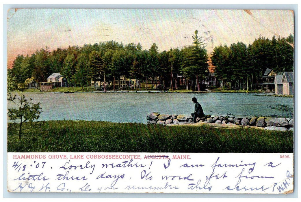 1907 Hammonds Grove Lake Cobbosseecontee Maine ME Winthrop ME Postcard