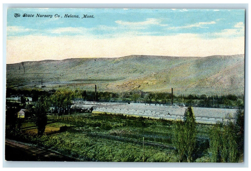 c1910s View Of The State Nursery Co. Helena Montana MT Unposted Antique Postcard