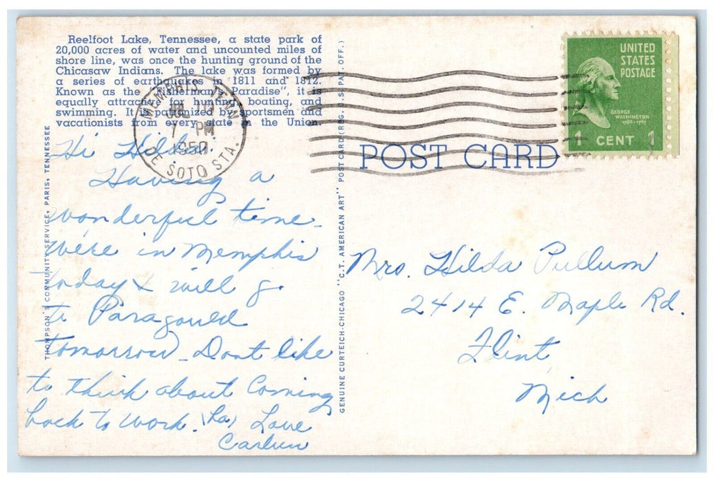 1950 View Of Cypress Trees Reelfoot Lake Memphis Tennessee TN Vintage Postcard