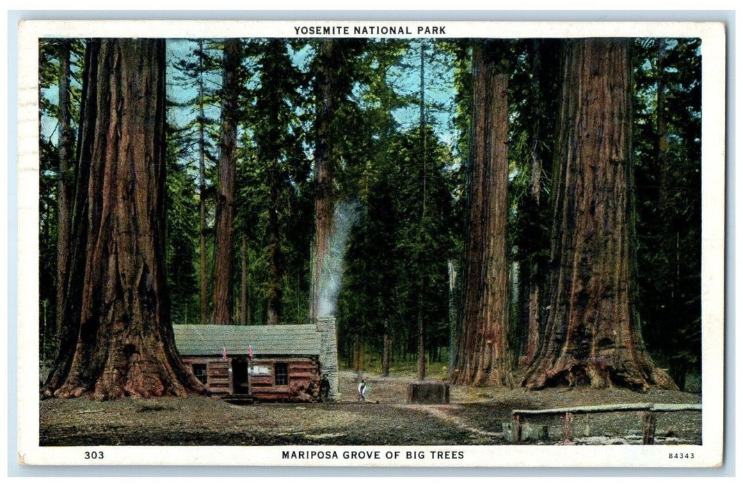 1935 Mariposa Grove Of Big Trees Yosemite National Park California CA Postcard