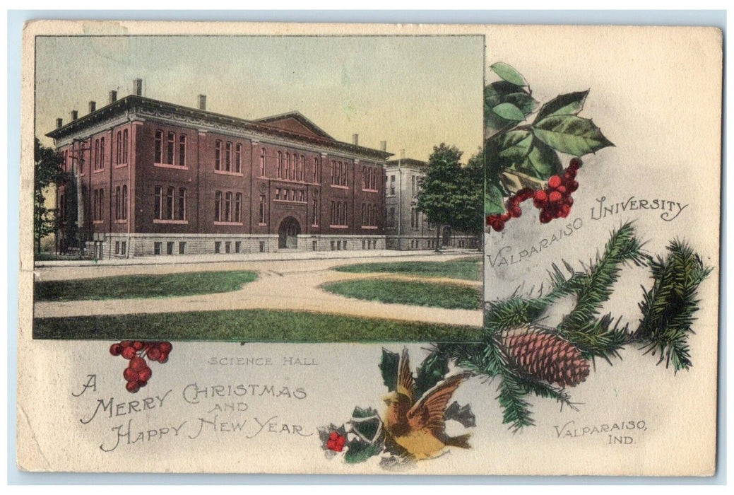 1913 Valparaiso University Science Hall Valparaiso IN Pine Cone Berries Postcard