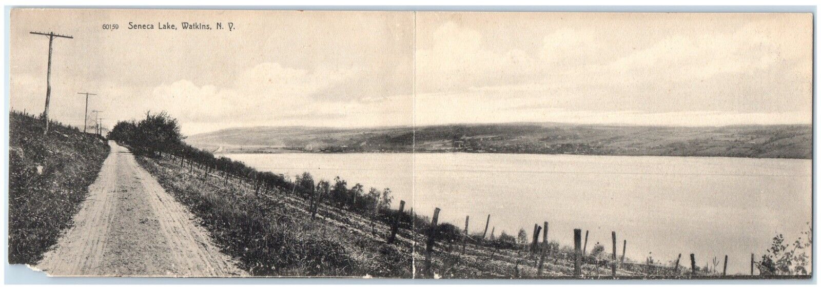 c1905 View Of Lake Watkins New York NY Fold Out Panorama Rotograph Postcard
