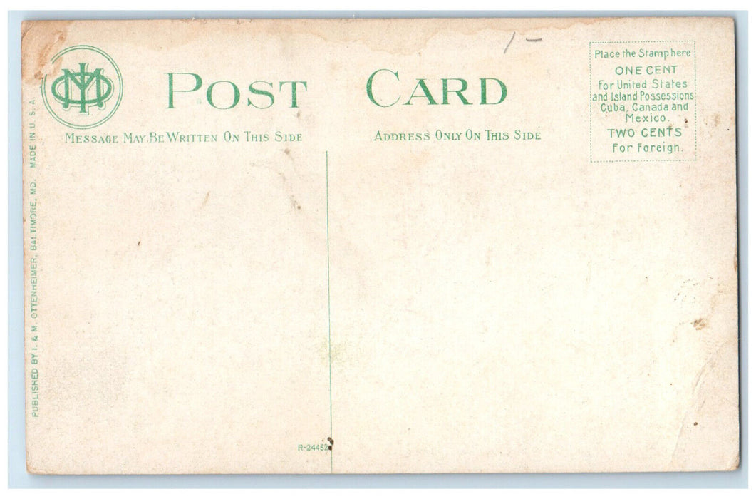 c1910 Crowds at Gwynn Oak Park Baltimore Maryland MD Antique Unposted Postcard