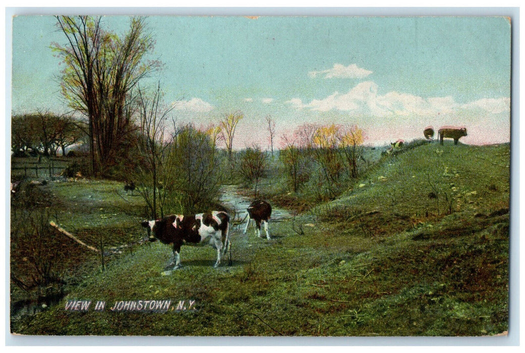 c1910 View in Johnstown New York NY Cows in the Farm Antique Postcard