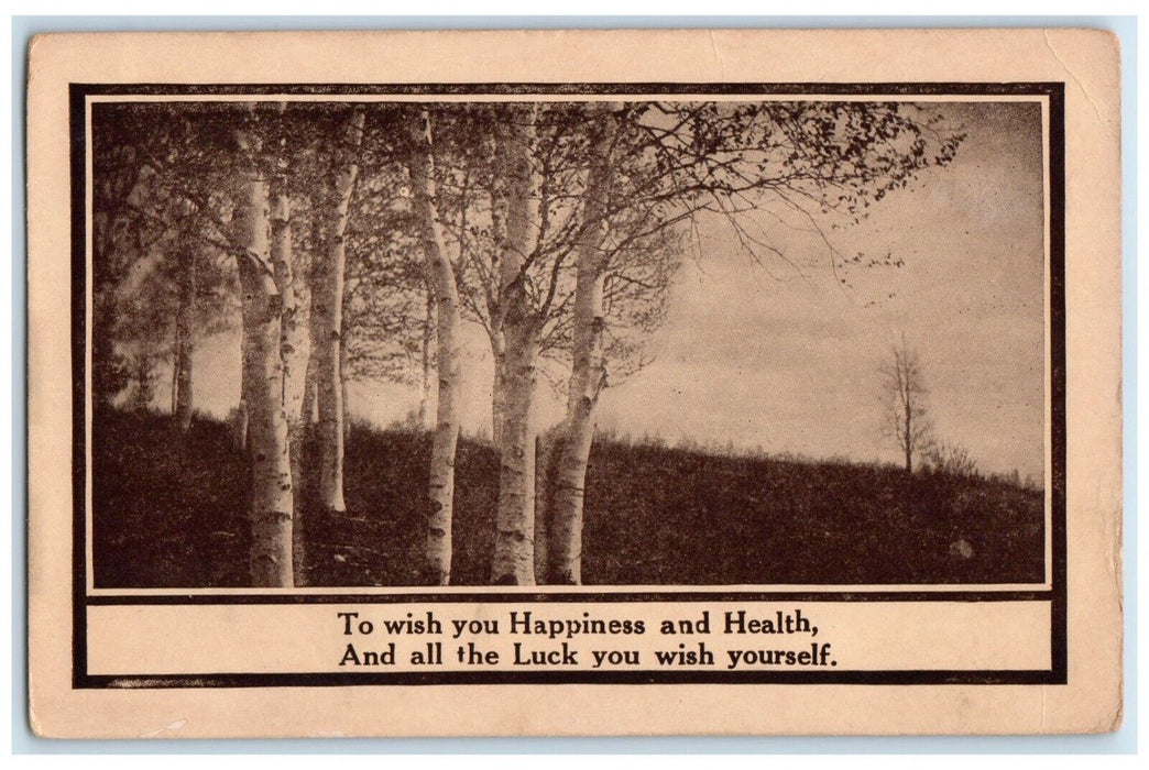 1910 Happiness And Health Trees Scene Forest Young America Indiana IN Postcard