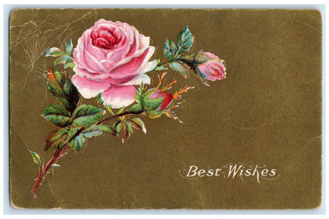 1908 Best Wishes Pink Roses Flowers Peru Chili Indiana IN Antique Postcard