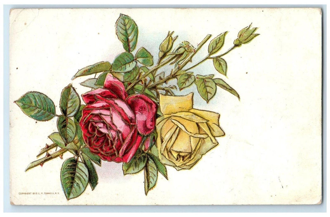 1910 Red And Yellow Roses Flowers Conwell Boston Kentucky KY Antique Postcard