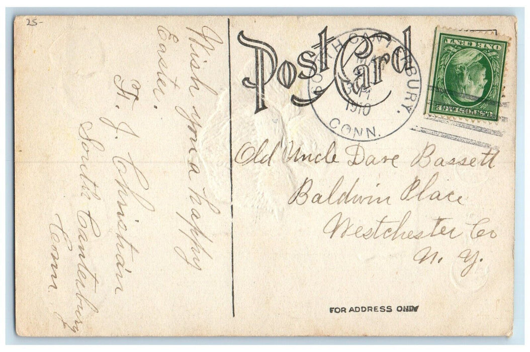 1910 Easter Greetings Hatched Eggs Chicks Embossed South Canterbury CT Postcard