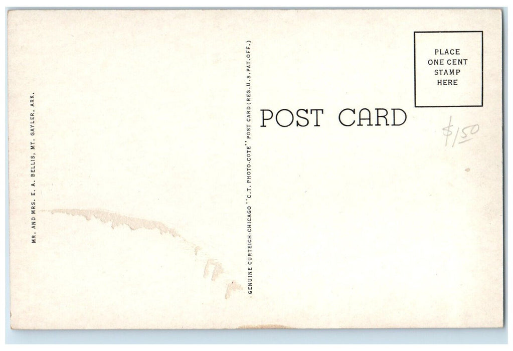c1940 Famous S Curve Arkansas Ozarks Road Trees Cliff Mountain Arkansas Postcard