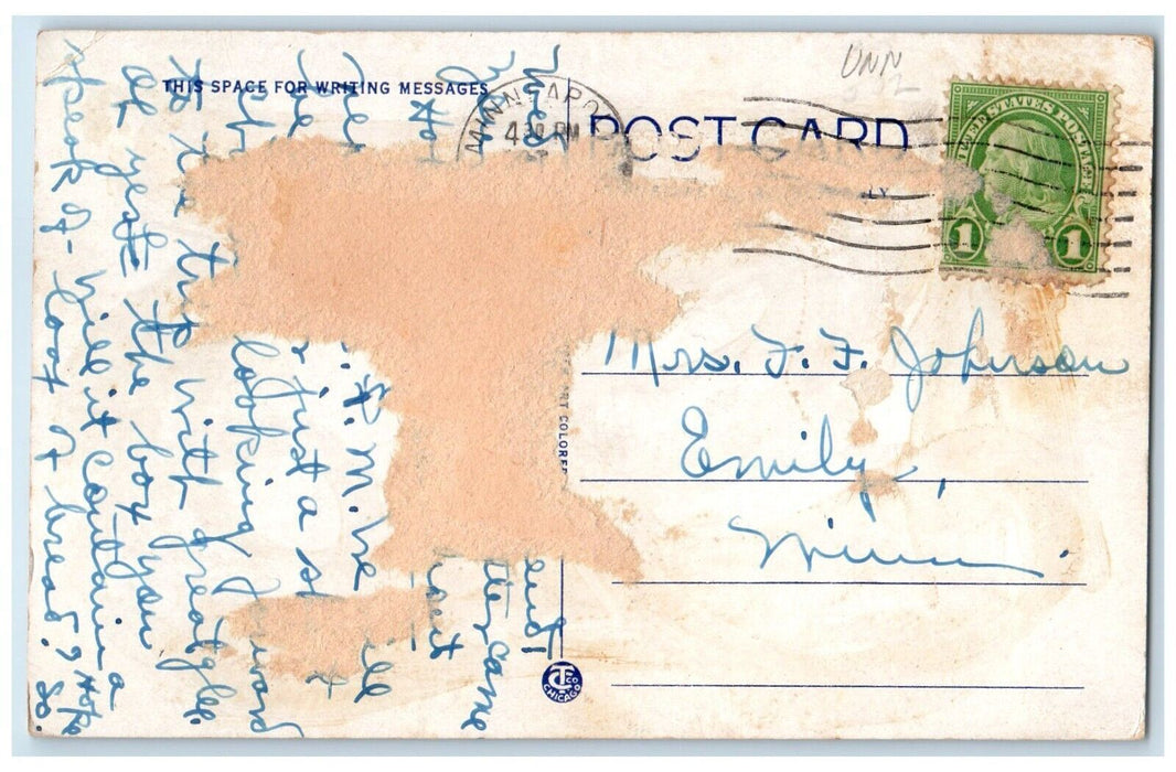 c1920's Stairway Leading Up To Barn Bluff Red Wing Minnesota MN Postcard