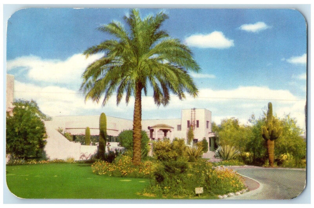 c1950's Camelback Inn Hotel Phoenix Arizona AZ, Cactus Palm Tree Postcard