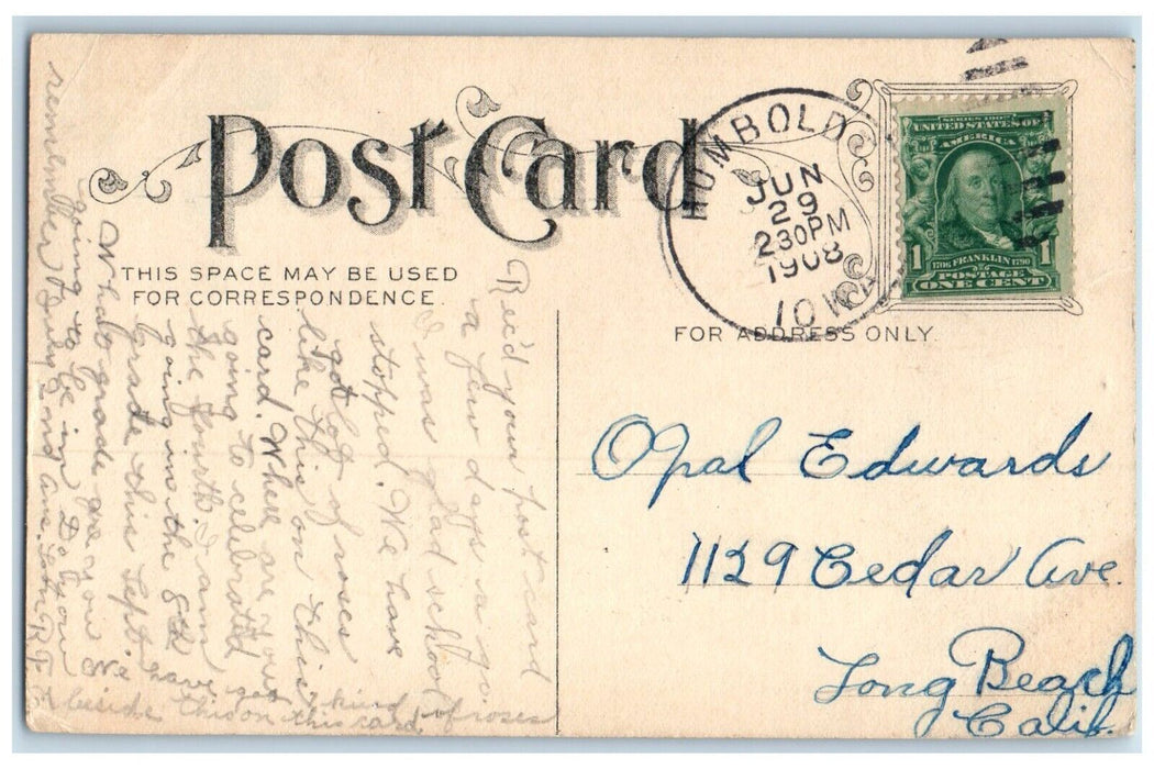 1908 View of Flower with Leaf Humboldt Iowa IA Posted Antique Postcard