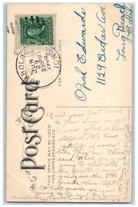1908 View of Flower with Leaf Humboldt Iowa IA Posted Antique Postcard