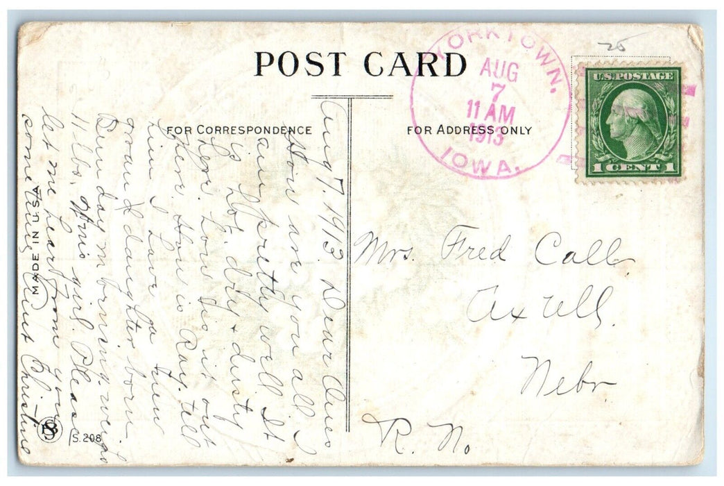 1913 Best Wishes White Flower Yorktown Iowa IA Antique Posted Postcard