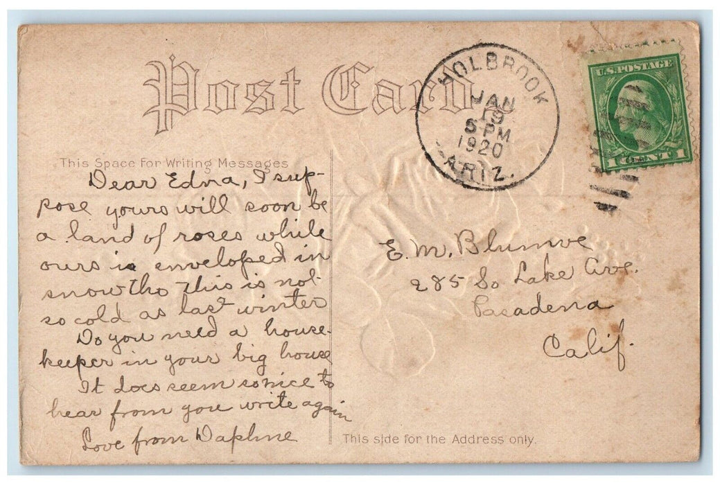 1920 Red Flower Leaves Holbrook Arizona AZ Antique Embossed Posted Postcard