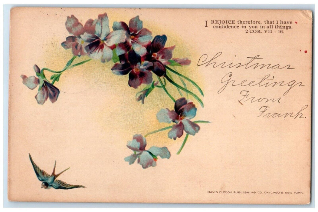 1906 2 Cor. VII:16 Bible Scripture Flowers Bird Congress Arizona AZ Postcard