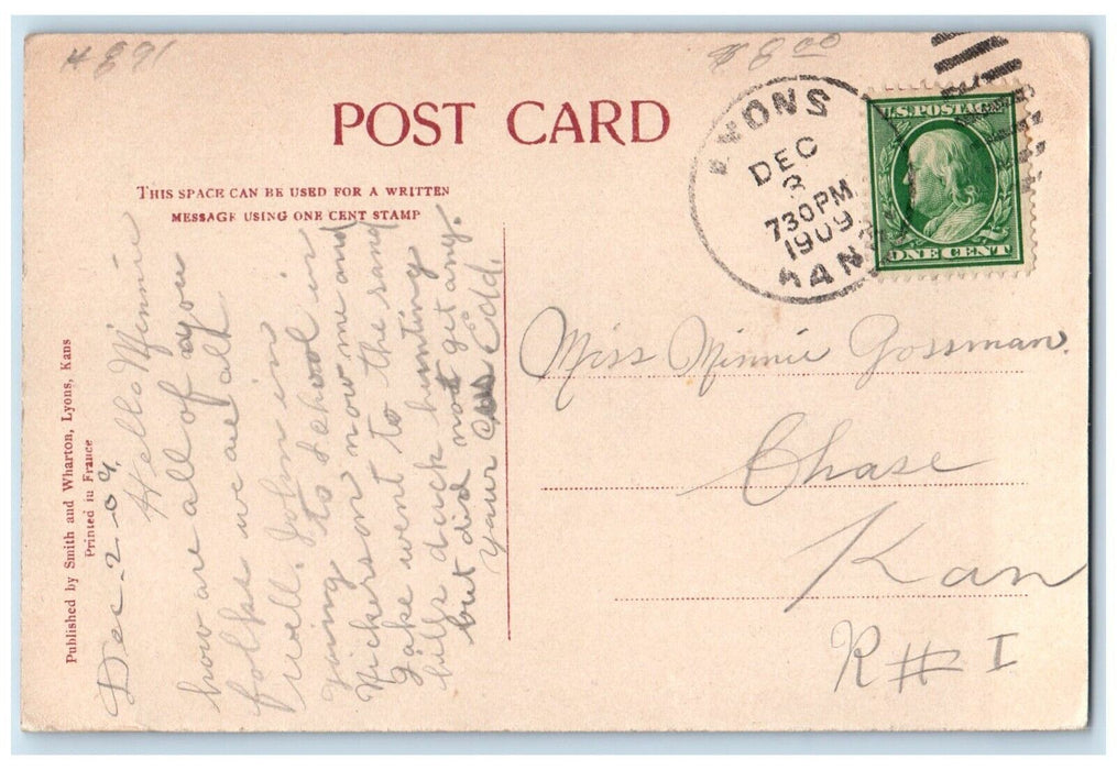 1909 Multiview Park School Court House Lions Millings Lyons Kansas KS Postcard