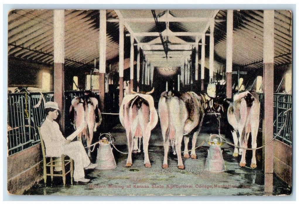 1912 Modern Milking Kansas State Agricultural College Manhattan Kansas Postcard