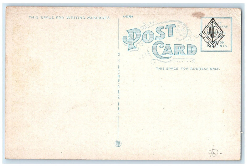 c1920 Exterior City Hall D. C. Monument Classic Cars Macon Georgia GA Postcard