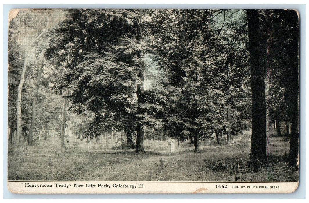 c1910 Honeymoon Trail New City Park Galesburg Illinois Vintage Unposted Postcard