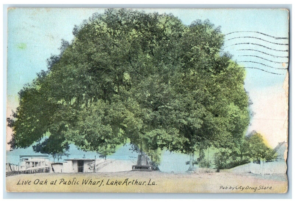 1911 Live Oak Public Wharf Big Tree Bench Lake Arthur Louisiana Vintage Postcard