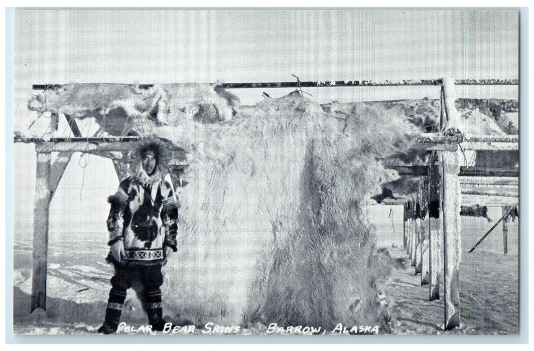c1910's Polar Bear Skins Barrow Alaska AK, Winter Scene Antique Postcard