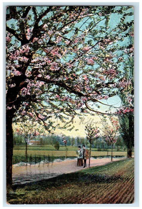 1908 Couple Scene Near Spring Tree Spring City Pennsylvania PA Postcard