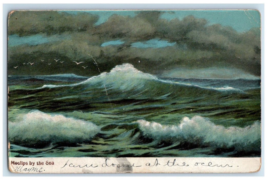1909 Moclips By The Sea Moclips Washington WA Antique Posted Postcard