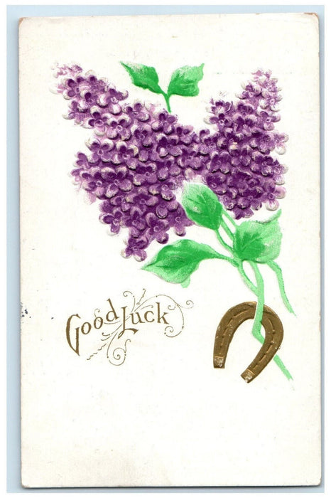 1909 Goodluck Horseshoe Flowers Andersons Valley Pennsylvania PA Postcard