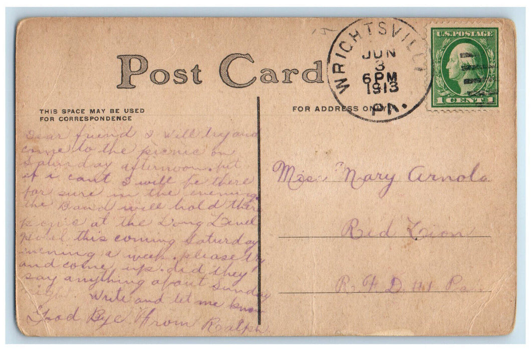 1913 Duck The Farmers Daughter Farm Wrightsville Pennsylvania PA Postcard