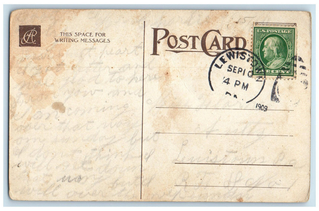 1909 Leaves Colorful Flowers Lewiston Pennsylvania PA Message Postcard