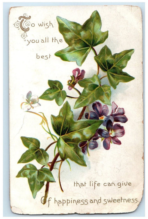 1909 Leaf Flowers Wish You Best Holicong PA Birthday Postcards Tuck Art Postcard