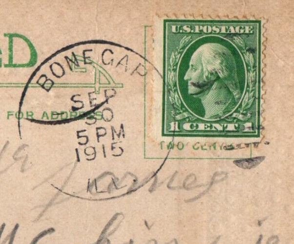 1915 Birthday Message Flower Bone Gap Illinois IL Antique Posted Postcard