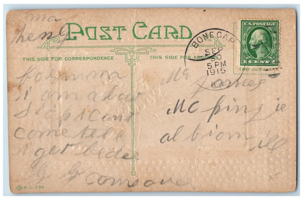 1915 Birthday Message Flower Bone Gap Illinois IL Antique Posted Postcard