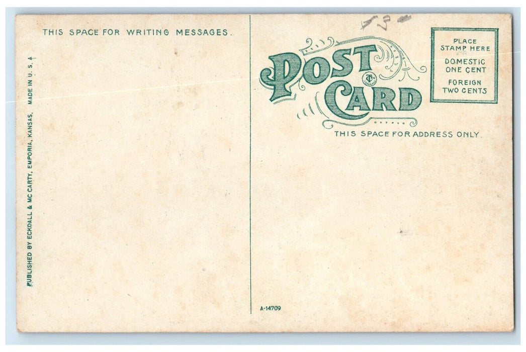 c1910 Exterior Home Walt Mason Uncle Walt Horse Carriage Emporia Kansas Postcard