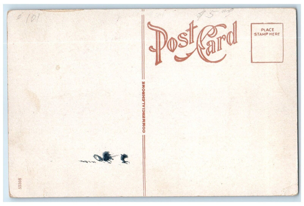1910 Exterior Dodge City Mill Elevator CO Building Dodge City Kansas KS Postcard